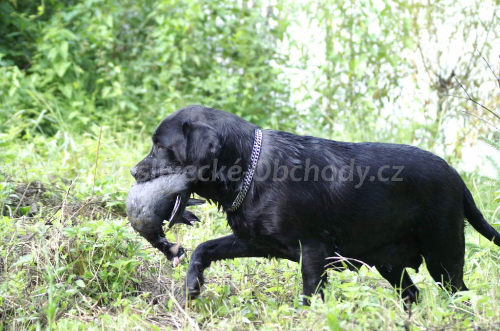 Foto v�robku