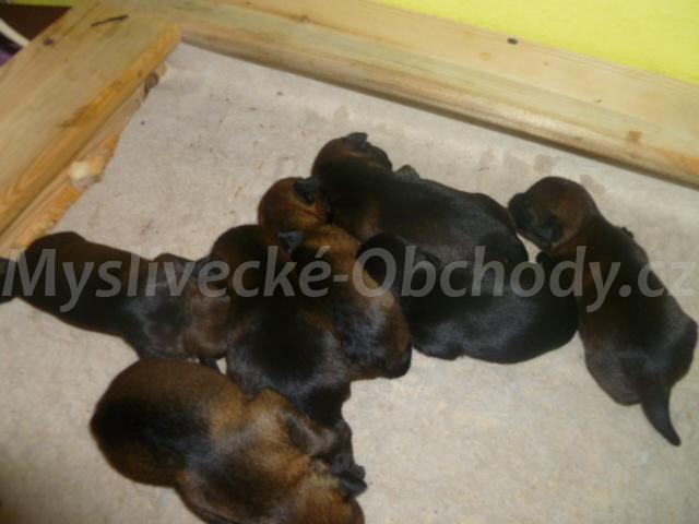 Foto v�robku