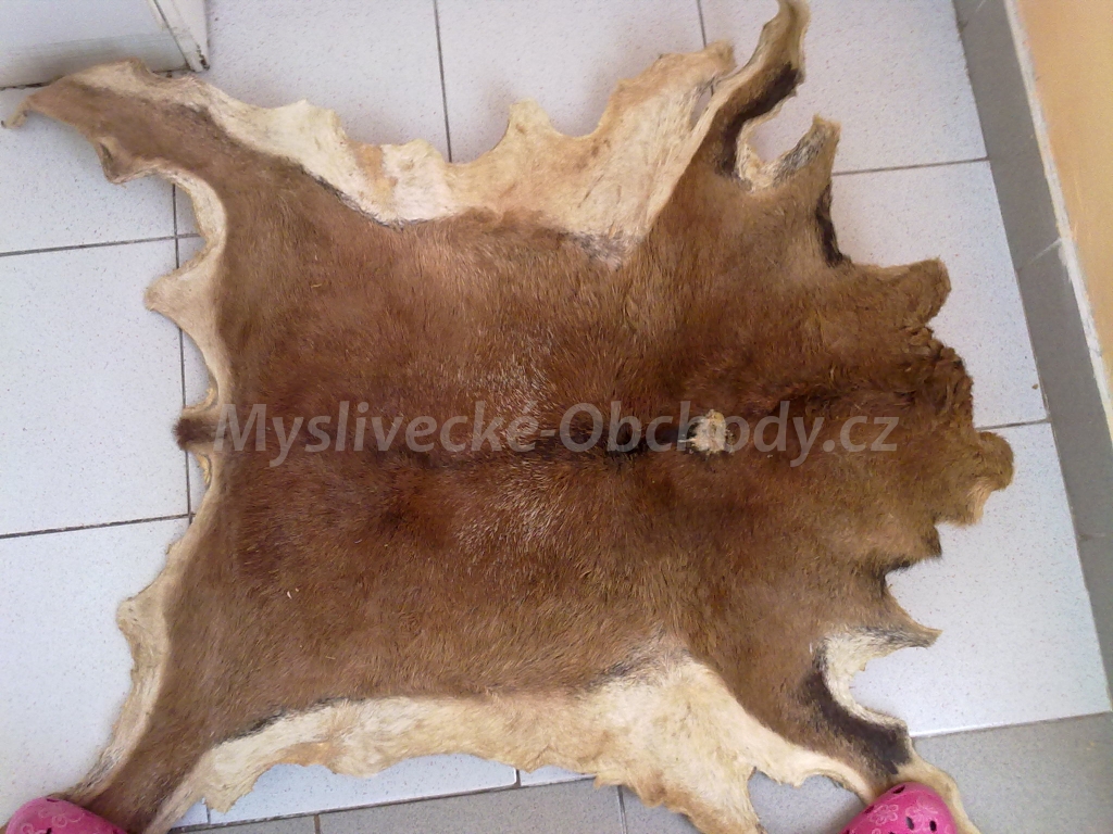 Foto v�robku