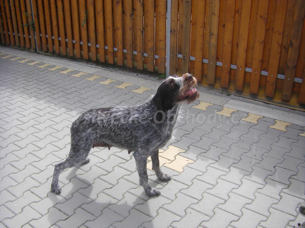 Foto v�robku
