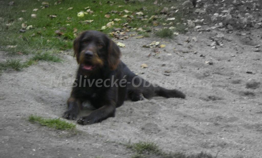 Foto v�robku