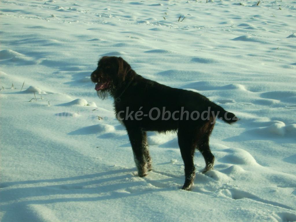Foto v�robku