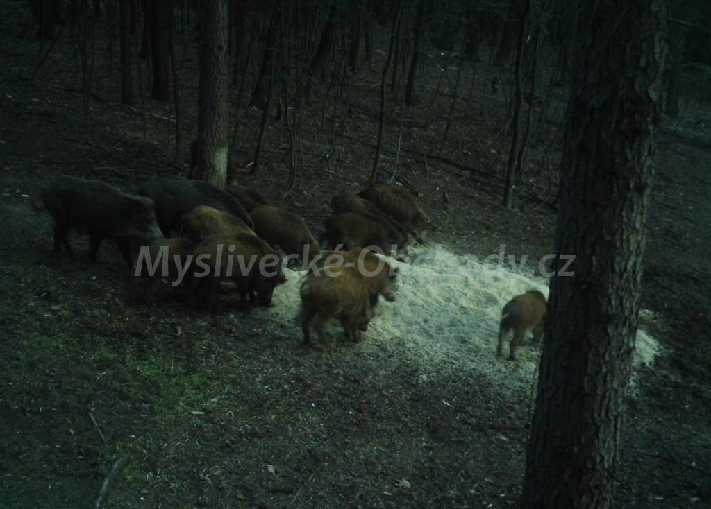 Foto v�robku