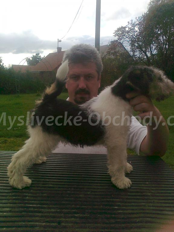 Foto v�robku