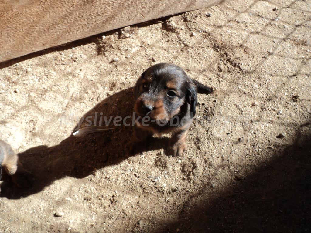 Foto v�robku
