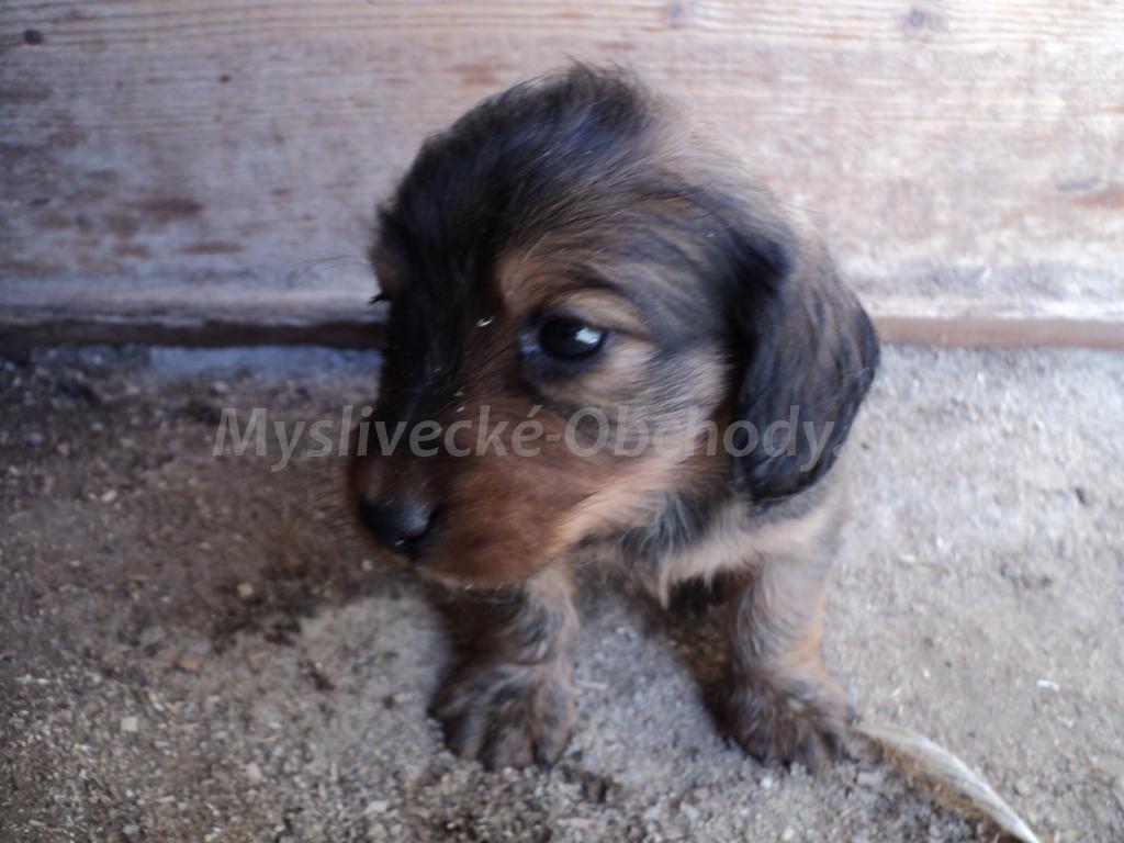Foto v�robku